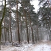 sneeuw 3 jan 062