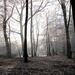 winter 024