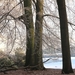 winter 025