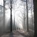 winter 042