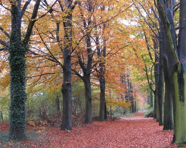 herfst 2009 antitankgracht 011