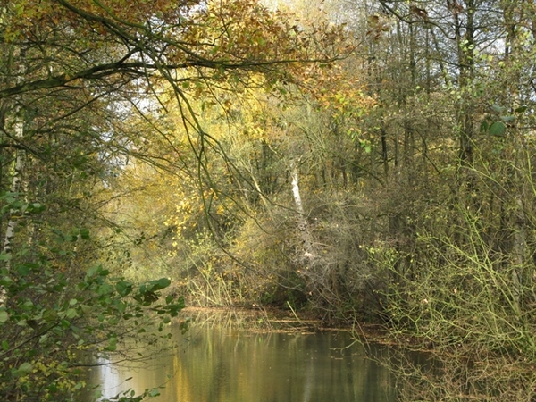 herfst 2009 antitankgracht 13