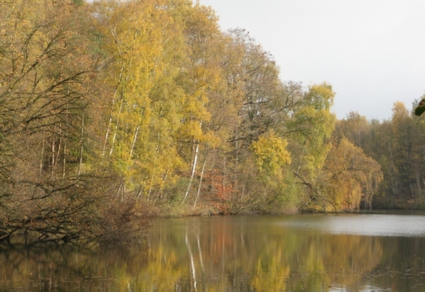 herfst 2009 antitankgracht 017