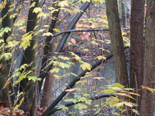 herfst 2009 antitankgracht 022