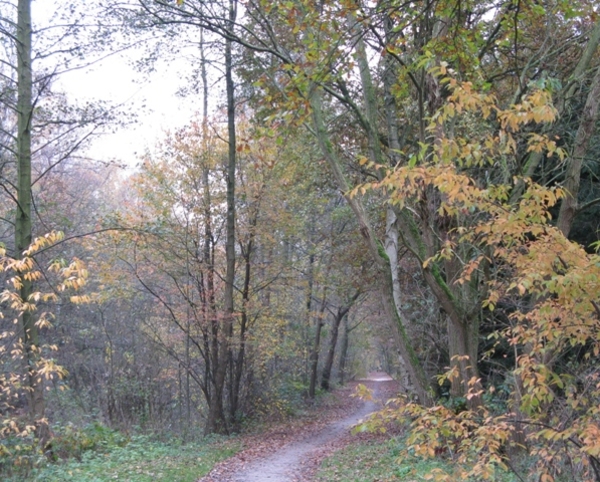 herfst 2009 antitankgracht 024