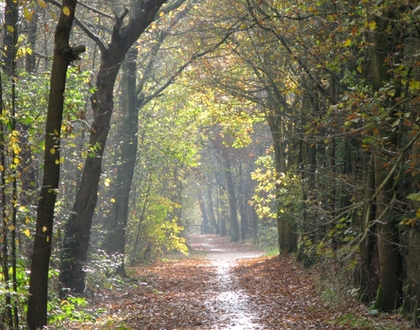 herfst 2009 antitankgracht 33