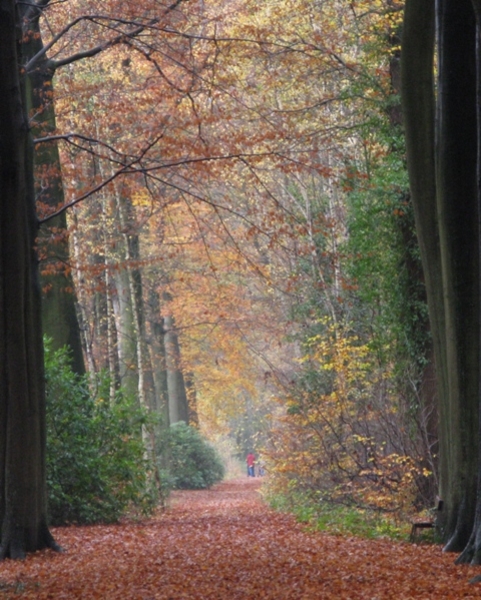 herfst 2009 antitankgracht 37