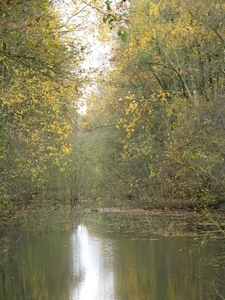 herfst 2009 antitankgracht 40