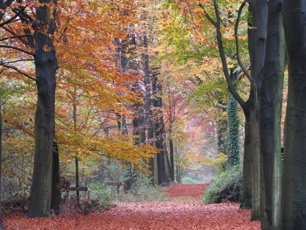 herfst 2009 antitankgracht 44