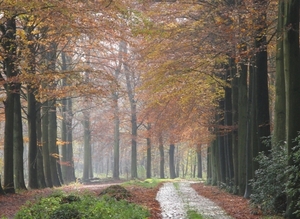 herfst 2009 antitankgracht 054