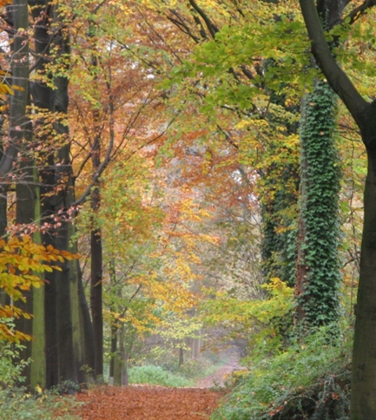 herfst 2009 antitankgracht 80