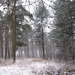 sneeuw 3 jan 018