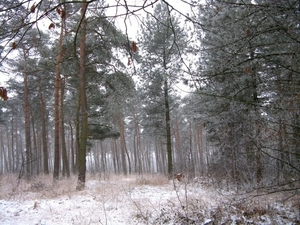 sneeuw 3 jan 018