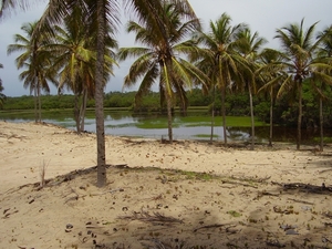 Poas Cond Bahia