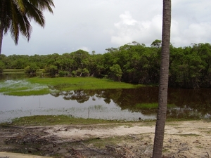 Poas Cond Bahia