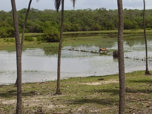 Poas Cond Bahia