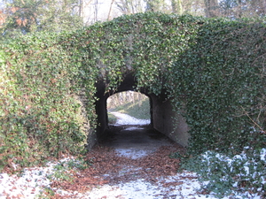 Tunnel naar grot