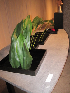 Ikebana 2010