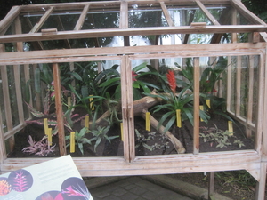 Plantentuin 024