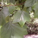 FILE0215