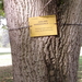 FILE0217