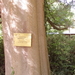 FILE0220