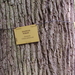 FILE0222