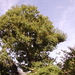 FILE0223