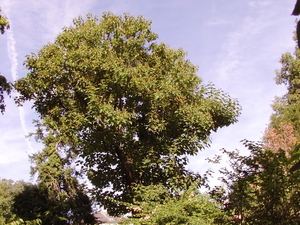 FILE0223