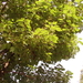 FILE0224