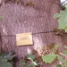 FILE0225