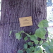 FILE0226