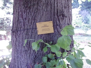 FILE0226