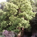 FILE0227