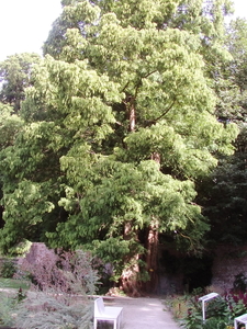 FILE0227