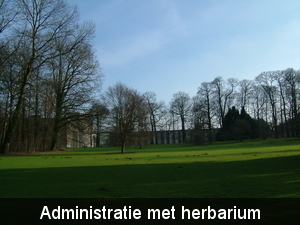 Administratie met herbarium