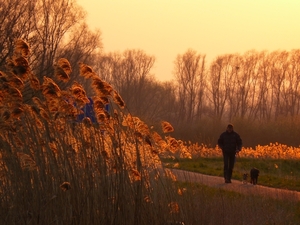 oefeningen avondschool 031