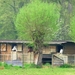 20090412_4