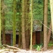 20090412_49