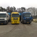 Witte koopman 715 (3)