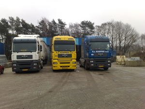 Witte koopman 715 (3)