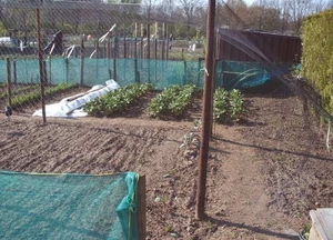 Herschaalde kopie van 01010043