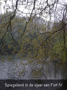 Spiegelend in de vijver van Fort IV