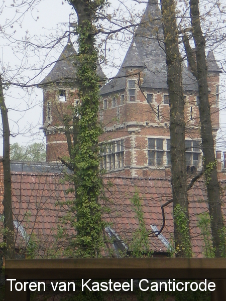 Kasteel - toren - schalien