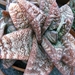 gasteria  batesiana