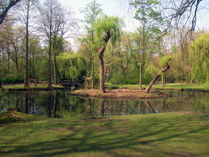 Het verloren bos