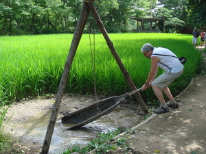 Korean Folk Village : rijstveld