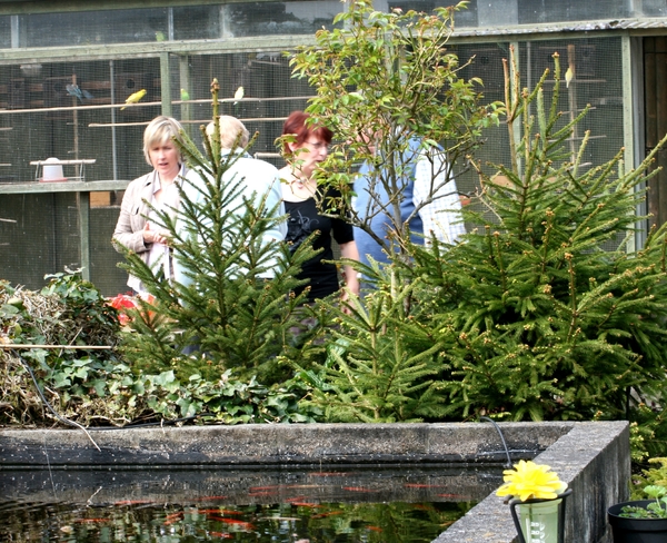 overleg bij de vijver