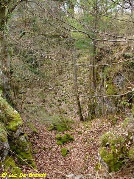 Ardennen Adeps wandeling Petigny