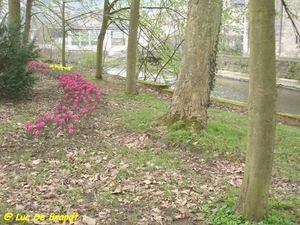 2009_04_12 Petigny 25 Nismes